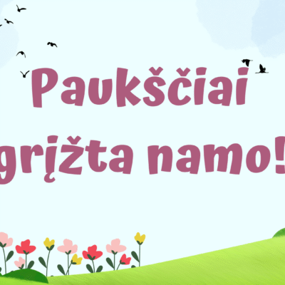 PDF priemonė „Paukščiai grįžta namo!“ – skaidrės vaikams apie pavasarį grįžtančius paukščius