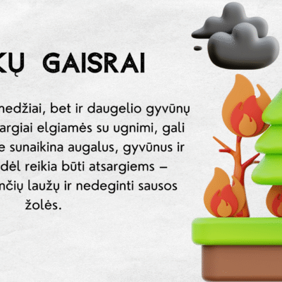 Žemės diena
