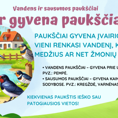 PDF priemonė „Paukščiai grįžta namo!“ – skaidrės vaikams apie pavasarį grįžtančius paukščius