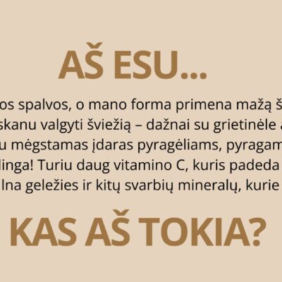 „Skaidrė su braškės aprašymu ir klausimu „Kas aš tokia?“ – užuominų žaidimo skaidrė vaikams.“