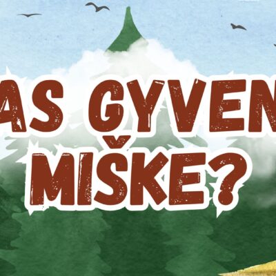 Skaidrės „Kas gyvena miške?“ skirtos ankstyvojo amžiaus vaikams. Vaikai susipažins su trimis miško žvėreliais – vilku, lape ir meška. Priemonė lavina kalbą, klausymosi gebėjimus, judesių imitavimą, aplinkos pažinimą ir garsų pamėgdžiojimą. Rinkinyje – 21 skaidrė ir kūrybinė užduotis, lavinanti vaikų smulkiąją motoriką bei spalvų pažinimą.