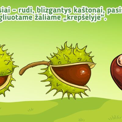 Edukacinis skaidrių rinkinys „Sveiki, medžių draugai!“ – pažintinė kelionė po mišką, supažindinanti vaikus su septyniais Lietuvos medžiais ir jų paslaptimis.