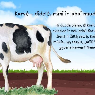 Edukacinės skaidrės vaikams (4–7 m.) apie naminius ir beglobius gyvūnus.