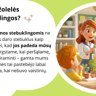 Skaidrės „Stebuklingos žolelės" apie vaistažoles, gamtos pažinimą ir tvarų santykį su aplinka (skaidrės, veiklų kortelės ir kūrybinės užduotys).