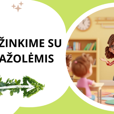 Skaidrės „Stebuklingos žolelės" apie vaistažoles, gamtos pažinimą ir tvarų santykį su aplinka (skaidrės, veiklų kortelės ir kūrybinės užduotys).
