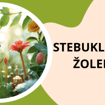 Skaidrės „Stebuklingos žolelės" apie vaistažoles, gamtos pažinimą ir tvarų santykį su aplinka (skaidrės, veiklų kortelės ir kūrybinės užduotys).