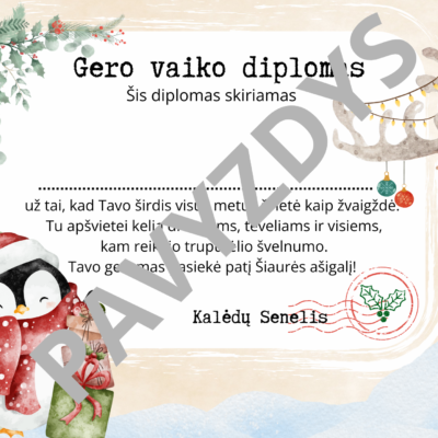 Gero vaiko diplomas nr.1