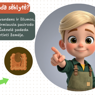 Skaidrės vaikams apie augalo augimą – nuo sėklytės iki žiedo.