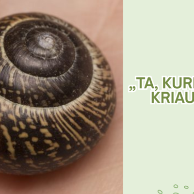 Skaidrės „Ta, kuri gyvena kriauklėje“–pažintinė priemonė apie sraigę. Tinka ikimokyklinio ir priešmokyklinio amžiaus vaikams, gamtos temoms ir pažinimo ugdymui.