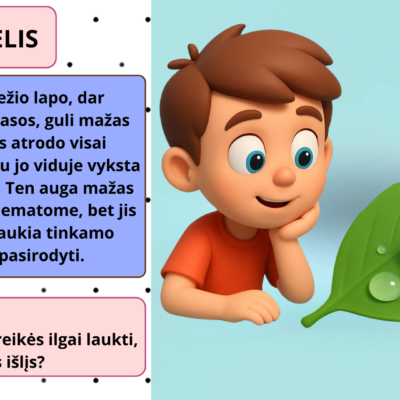 Skaidrės „Nuo mažo vikšrelio iki gražaus drugelio“ – ugdomoji priemonė vaikams, skirta pažinti drugelio gyvenimo ciklą.