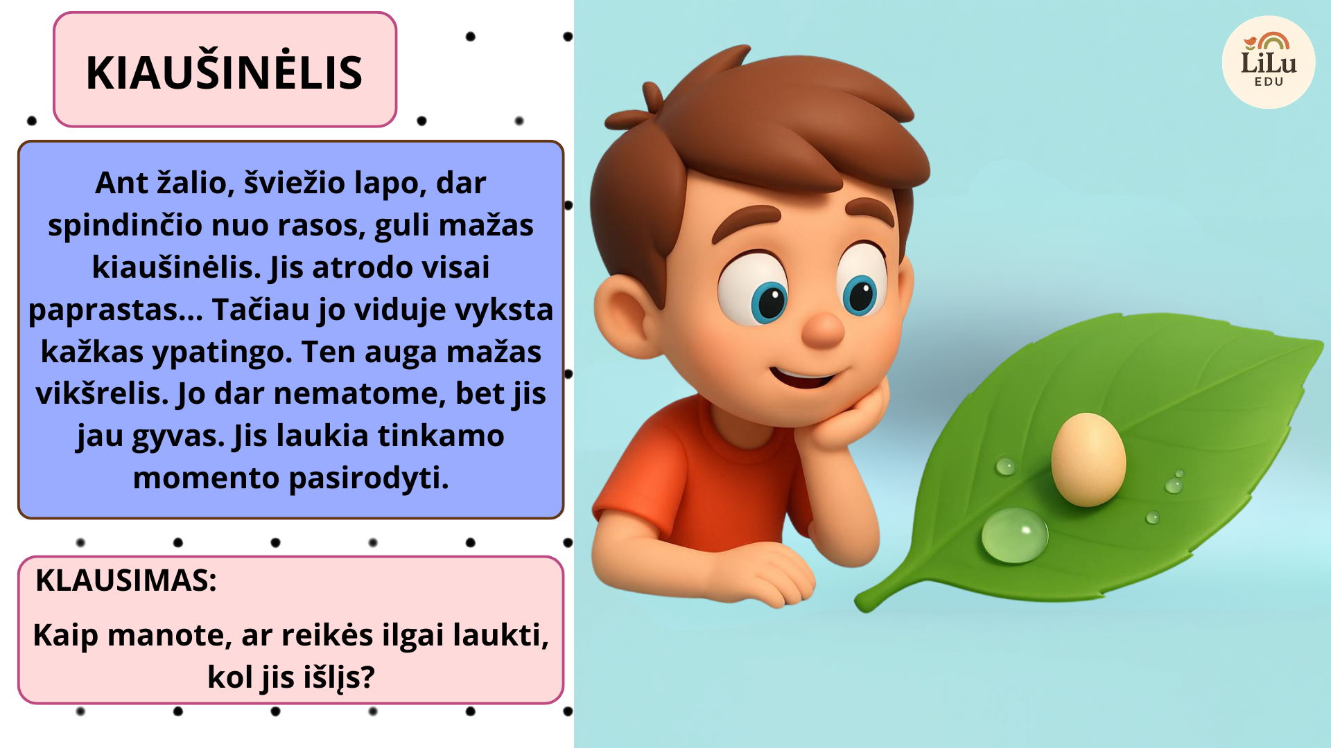 Skaidrės „Nuo mažo vikšrelio iki gražaus drugelio“ – ugdomoji priemonė vaikams, skirta pažinti drugelio gyvenimo ciklą.