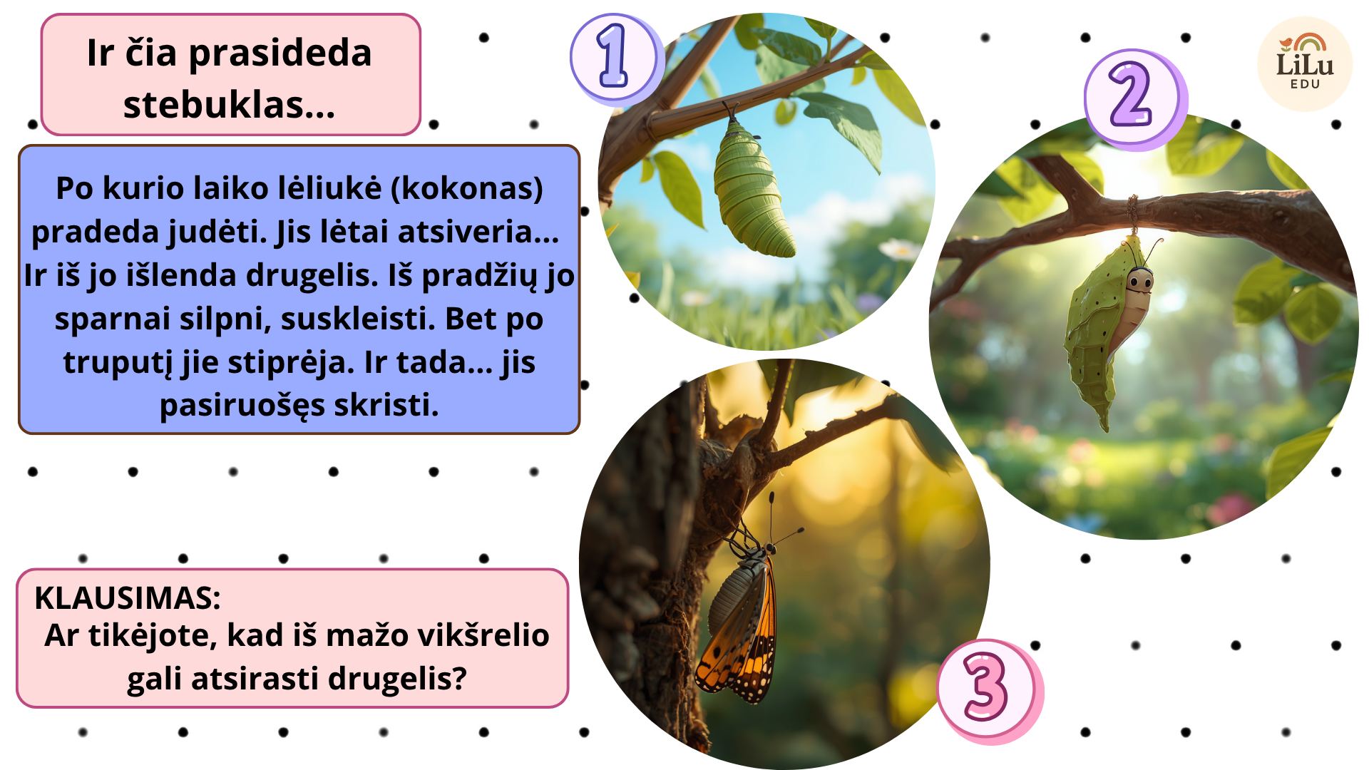 Skaidrės „Nuo mažo vikšrelio iki gražaus drugelio“ - Image 3