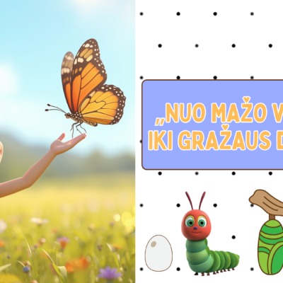 Skaidrės „Nuo mažo vikšrelio iki gražaus drugelio“ – ugdomoji priemonė vaikams, skirta pažinti drugelio gyvenimo ciklą.