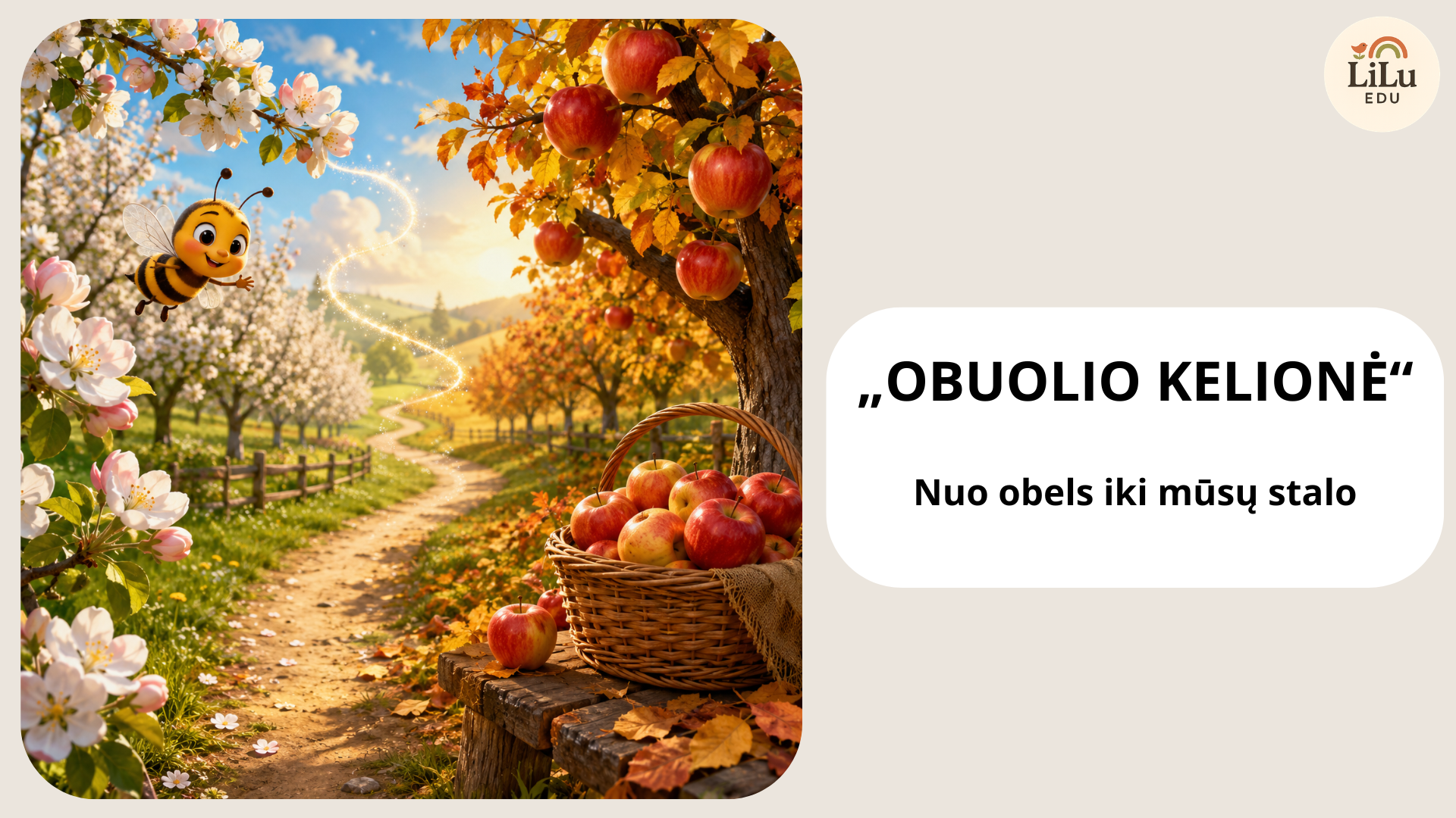 Skaidrės „Obuolio kelionė. Nuo obels iki mūsų stalo“ – ugdomoji priemonė 3–6 metų vaikams apie obuolio augimą, sandarą, tyrinėjimą, skaičiavimą ir ragavimą.