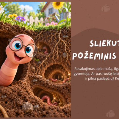 3D edukacinė iliustracija vaikams apie slieką ir požeminį pasaulį – pažintinė priemonė 4–6 metų vaikams.