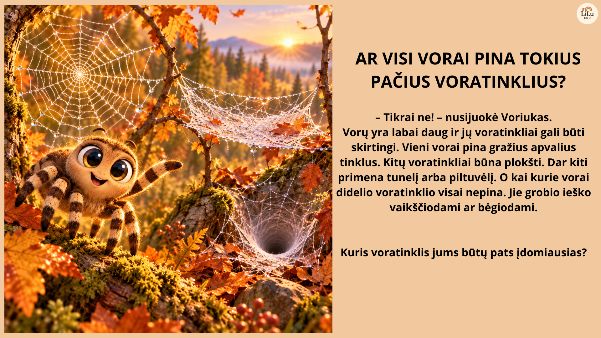 Skaidrės „Voriukas ir stebuklingas voratinklis“ - Image 2